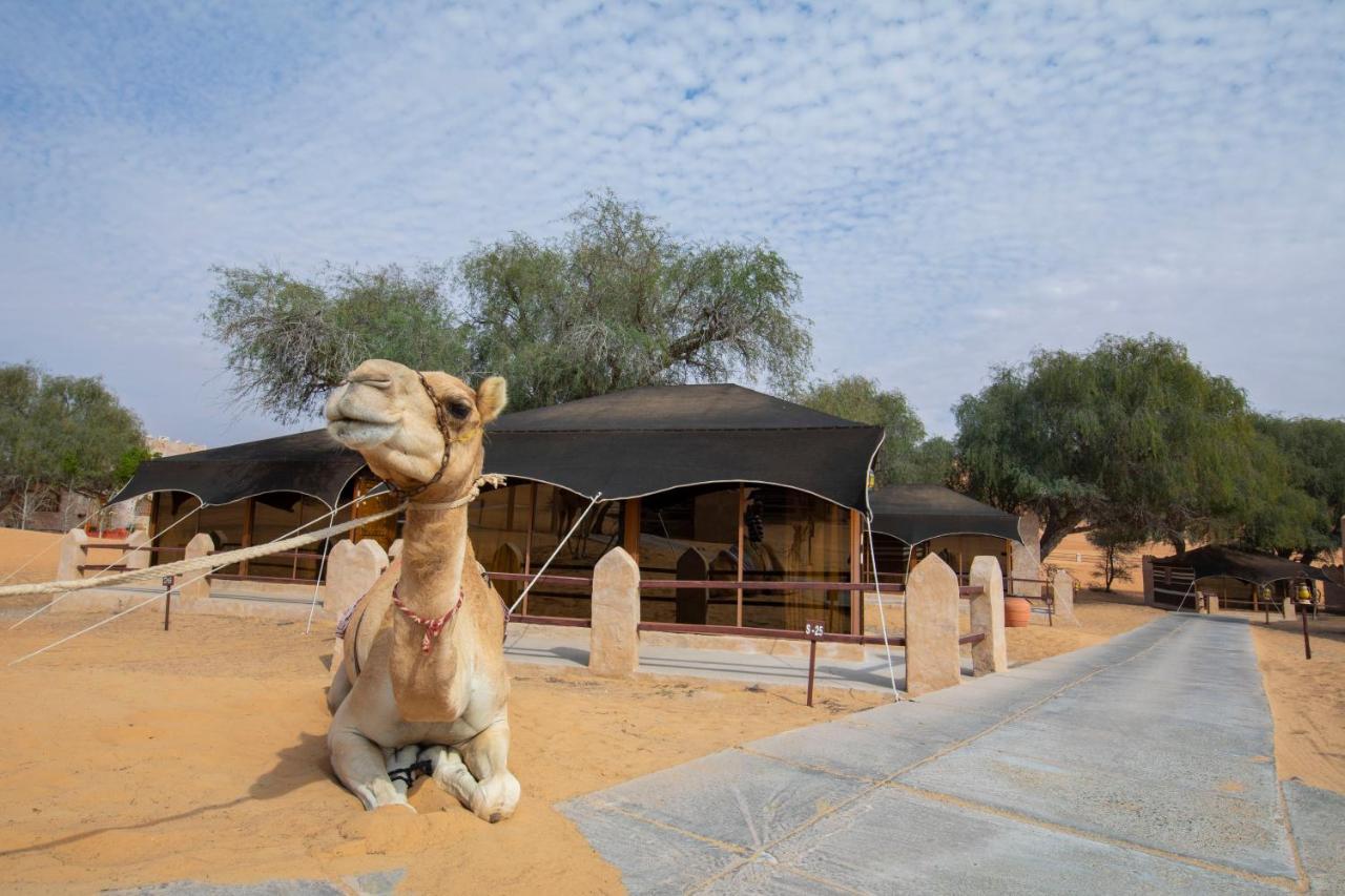 Luxe tent Thousand Nights Camp